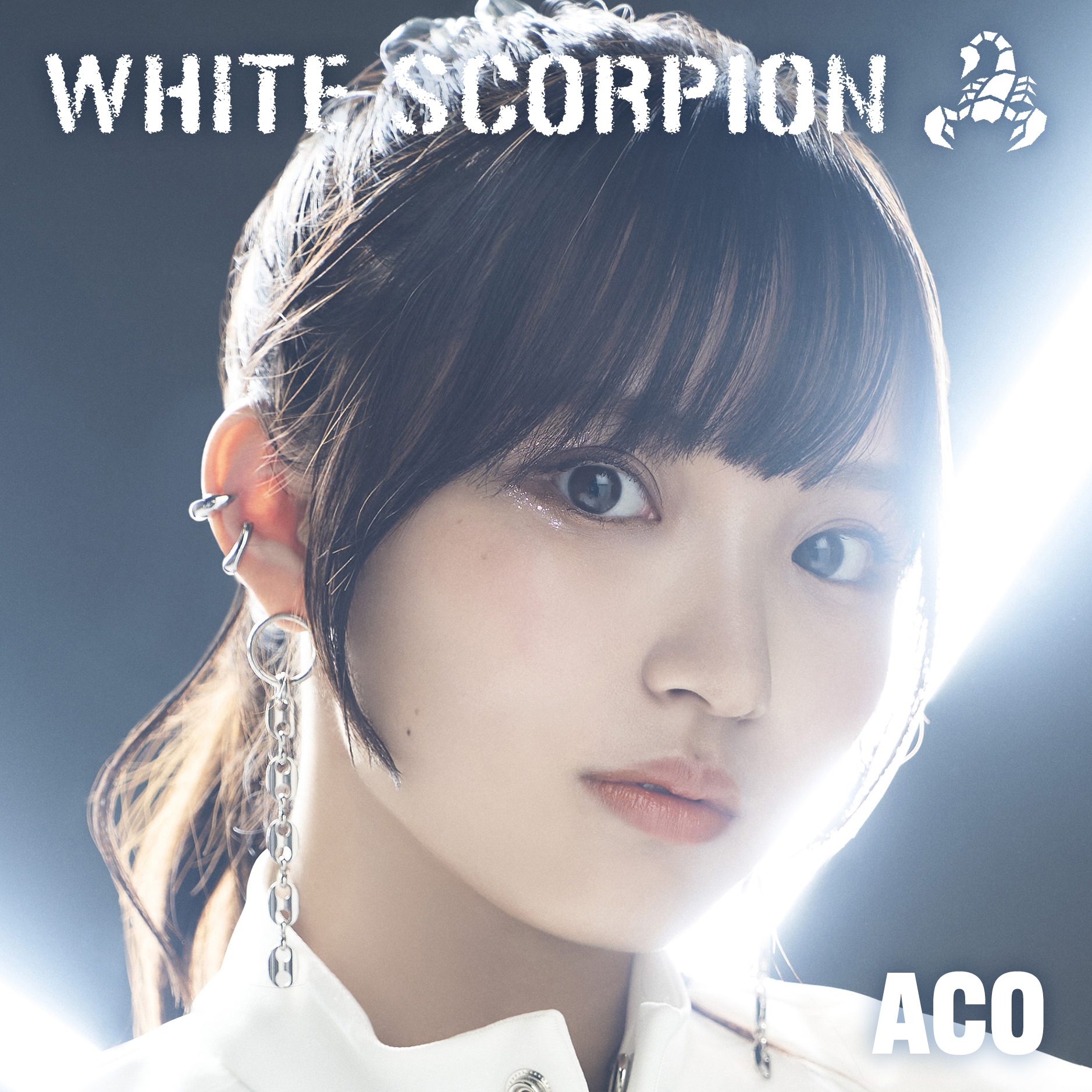 WHITE SCORPION ACOの思わず口ずさんでしまう曲