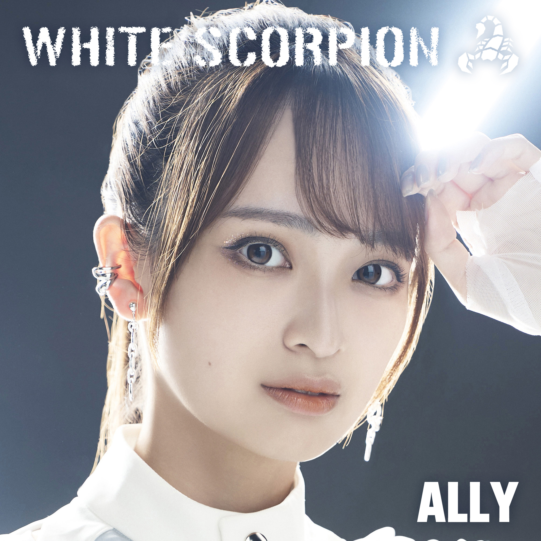 WHITE SCORPION ALLYの思わず口ずさんでしまう曲